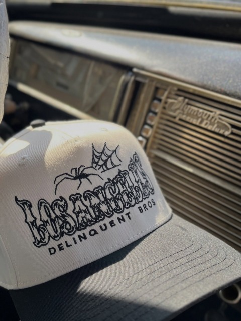 【貴重】Delinquent Bros♡デリンクエントブロス♡総刺繍♡ベロア Delinquent Bros(デリンクエントブロス)正規通販 - セレクト